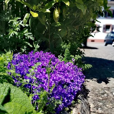 Ferienwohnung Lavanda Rust Buitenkant foto