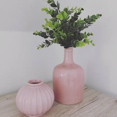 Ferienwohnung Lavanda Rust Buitenkant foto
