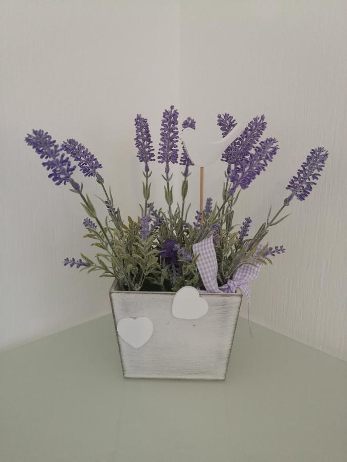 Lavanda Apartment *